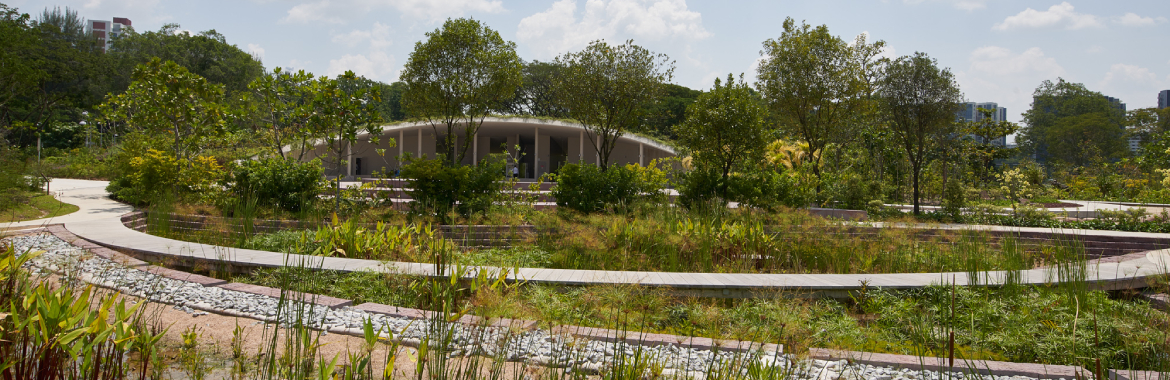Embracing Nature-Based Solutions in Singapore for Sustainable Water Resilience