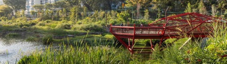 A Community in a Garden: CPG Consultants Blend Nature and Heritage with Stormwater Management Innovation in Bidadari Park